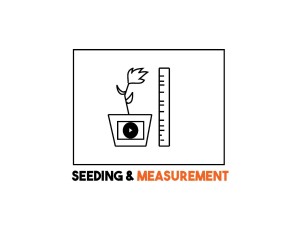 SeedingAndMeasurement icon